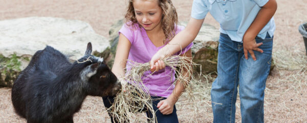 parc zoologique à lyon