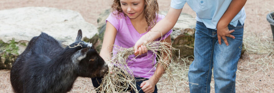 parc zoologique à lyon